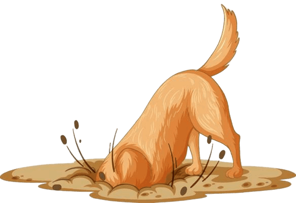 Cachorro cavando - Não encontrou seu pet ideal?