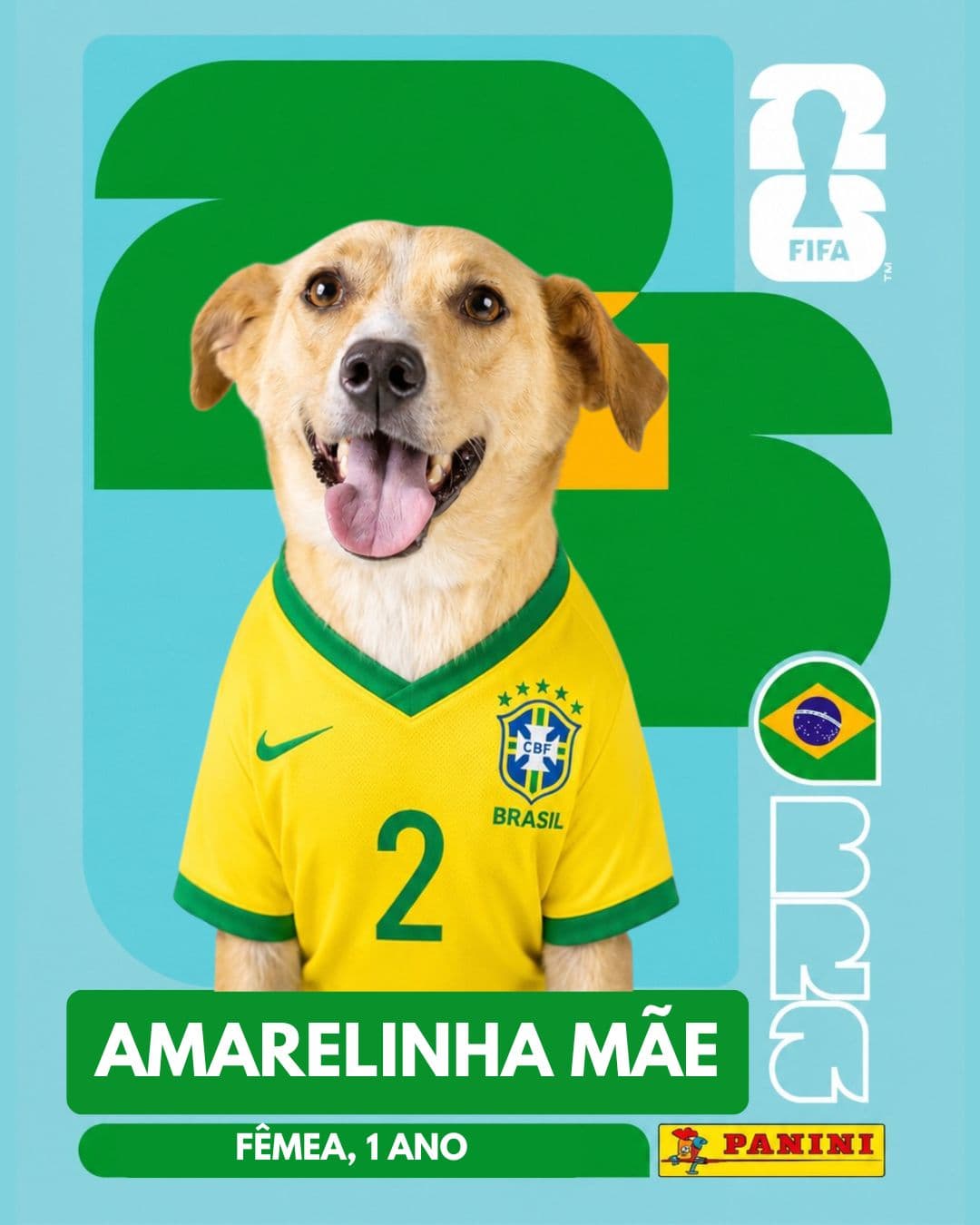 Amarelinha Mãe — pet para adoção em Porto Alegre