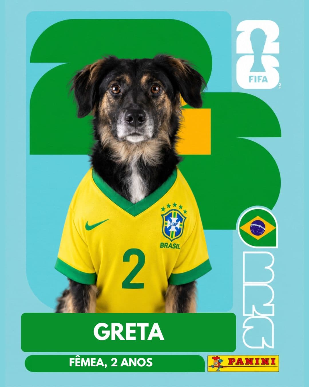 Greta — pet para adoção em Porto Alegre