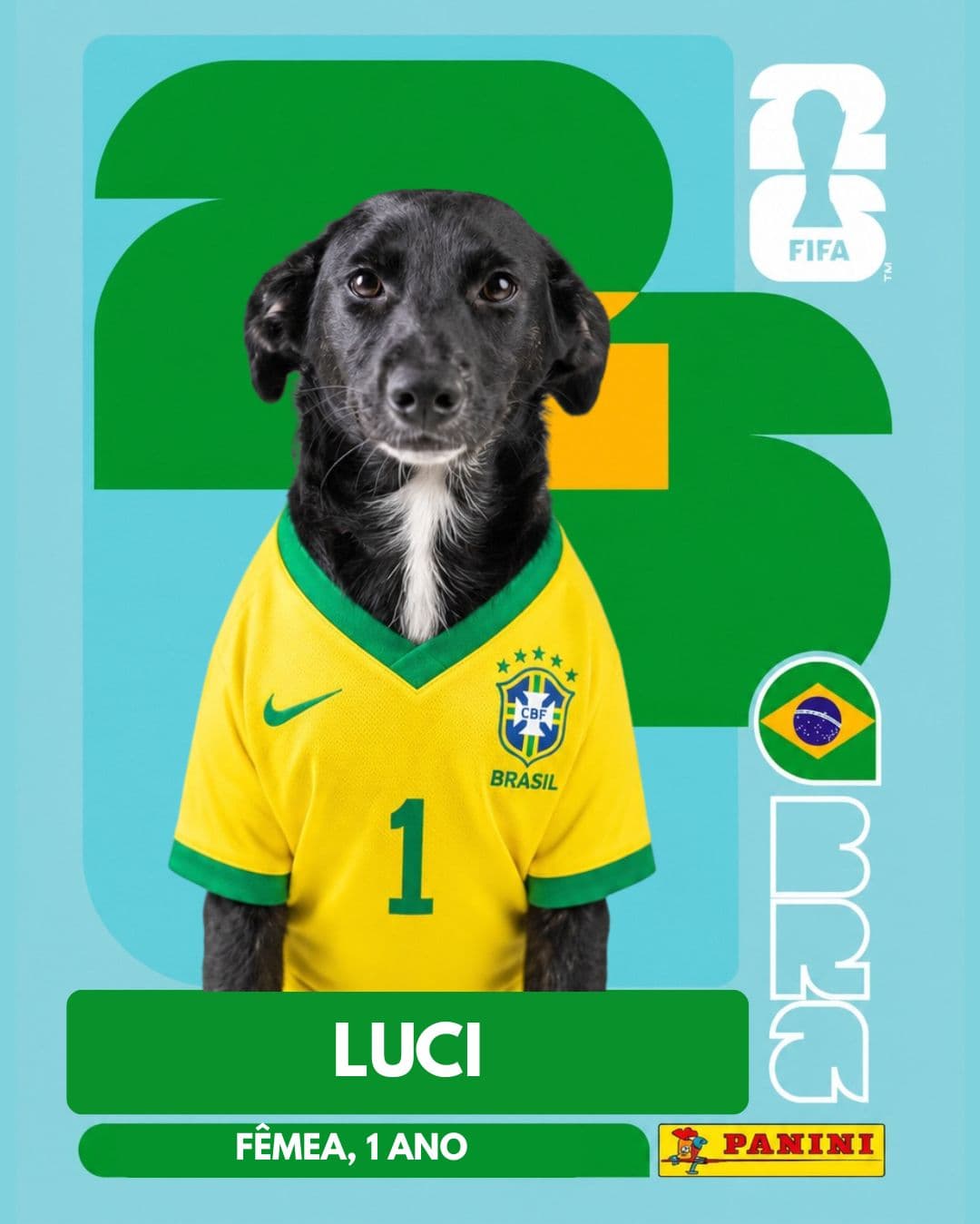 Luci — pet para adoção em Porto Alegre