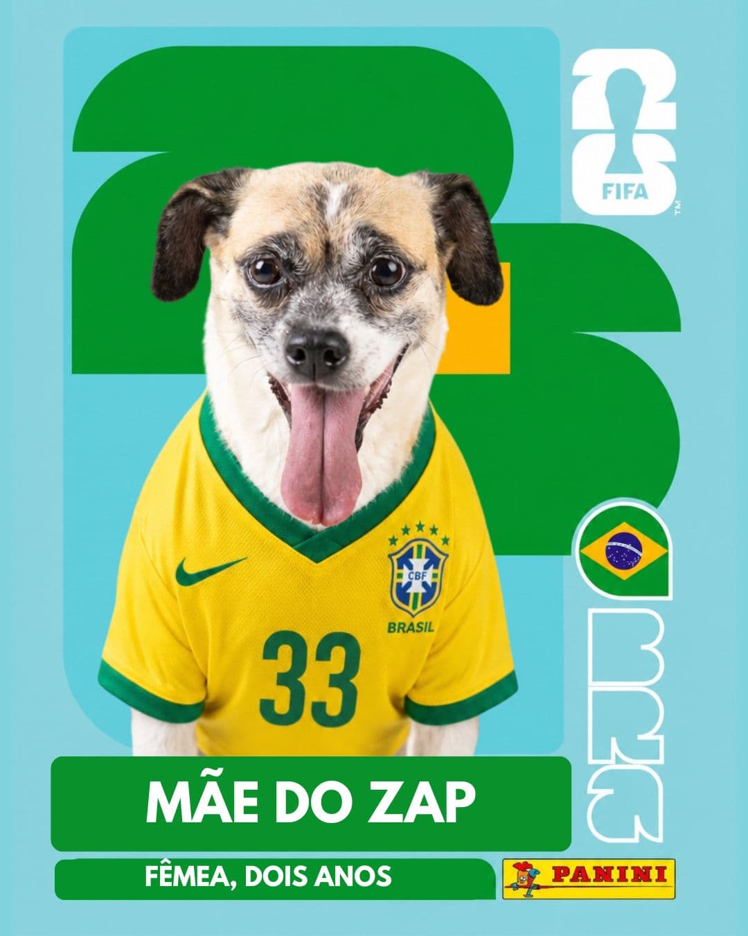 Mãe do Zap — pet para adoção em Porto Alegre