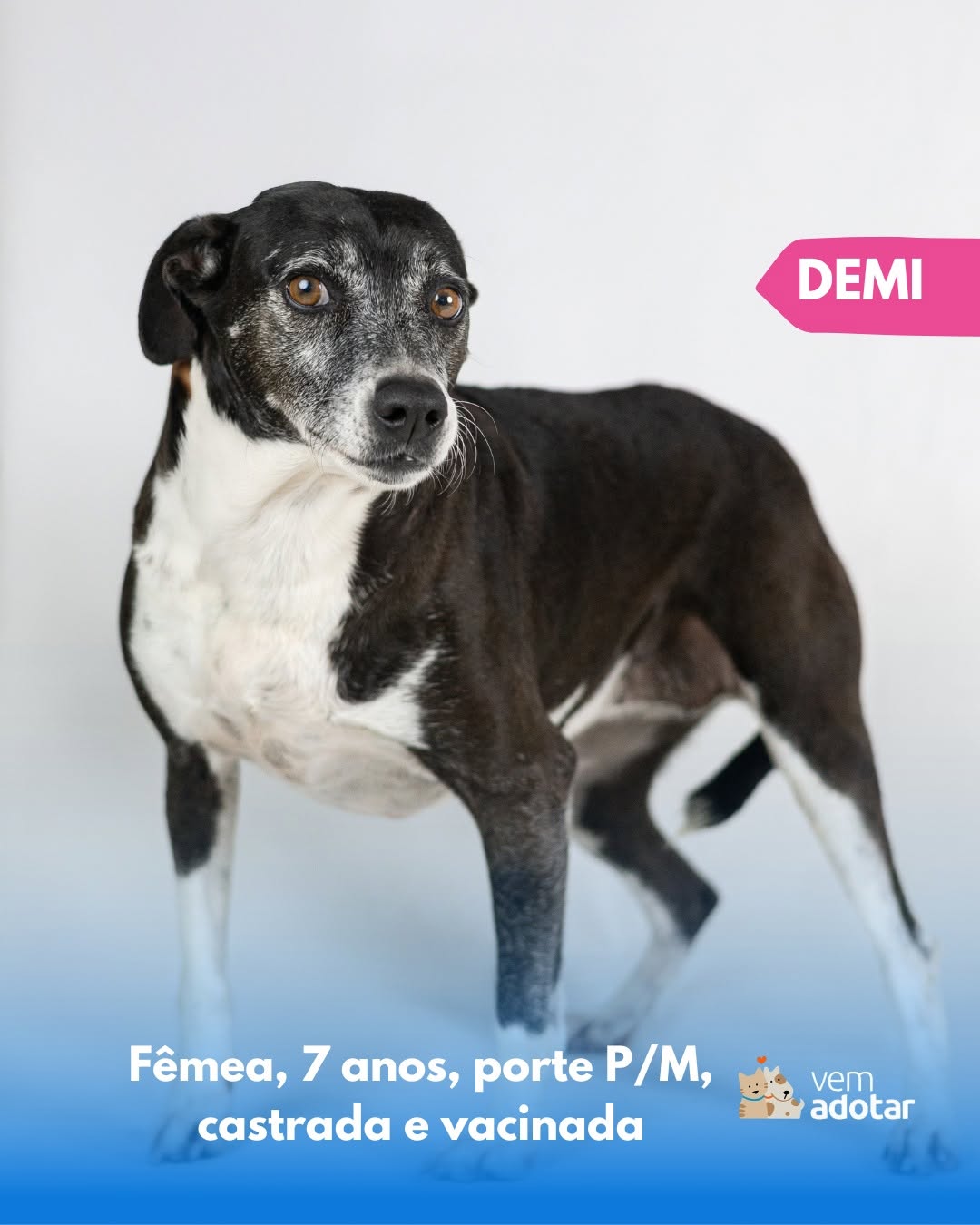 Demi