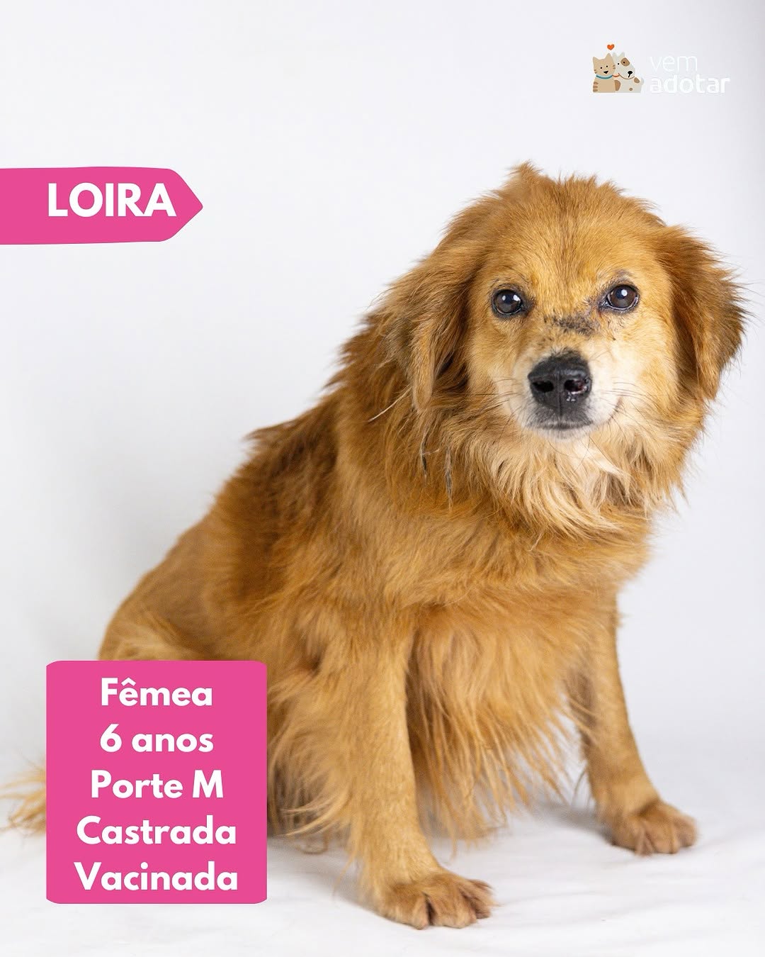 Loira