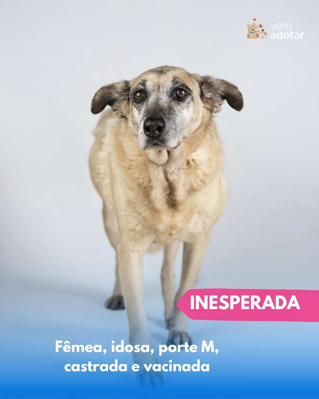 Inesperada