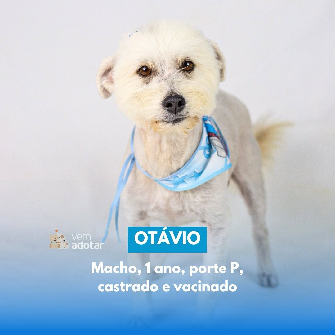 Otavio