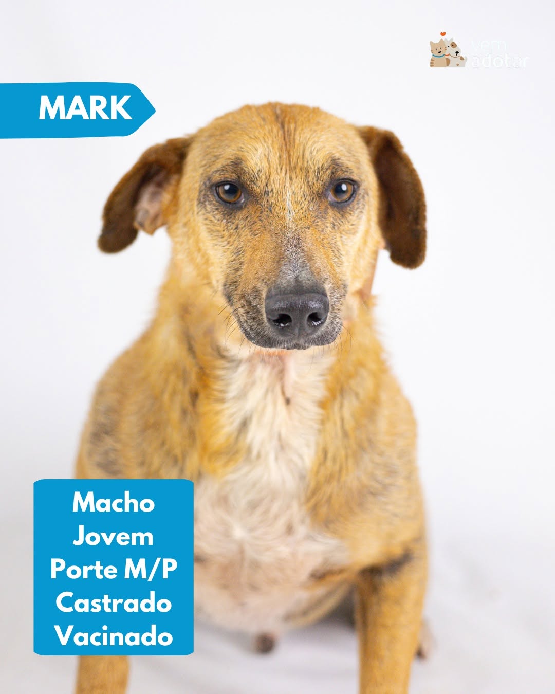 Mark