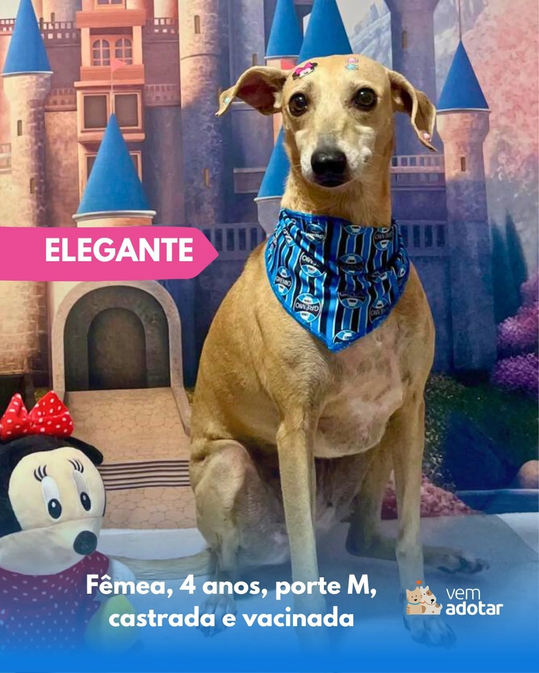 Elegante