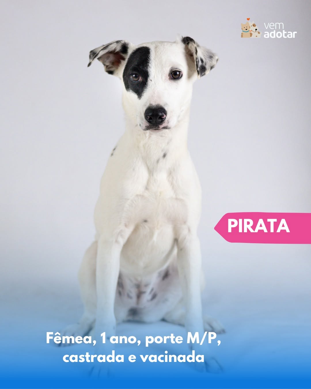 Pirata