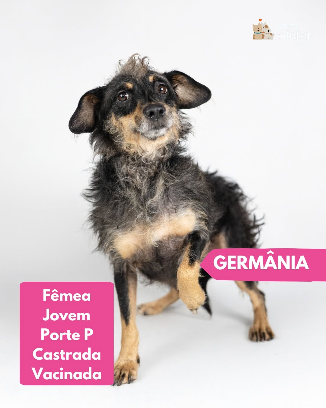 Germania