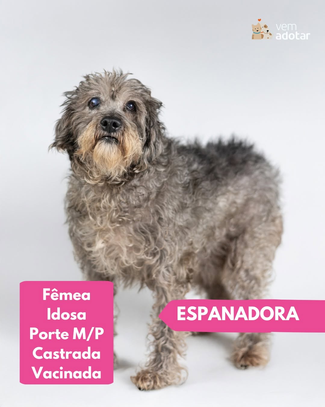 Espanadora