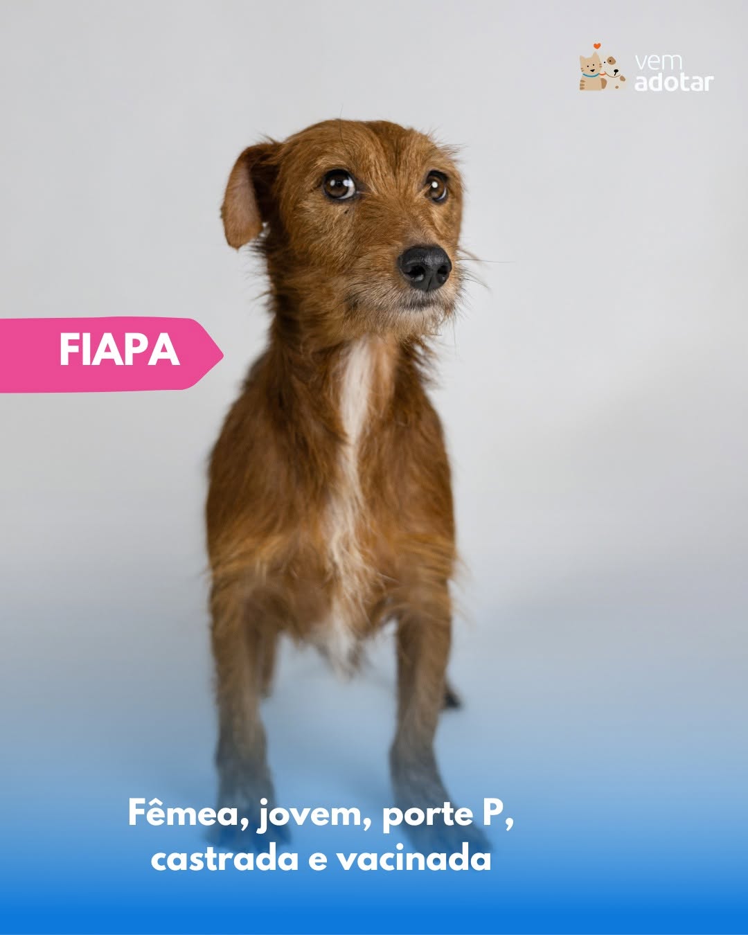 Fiapa