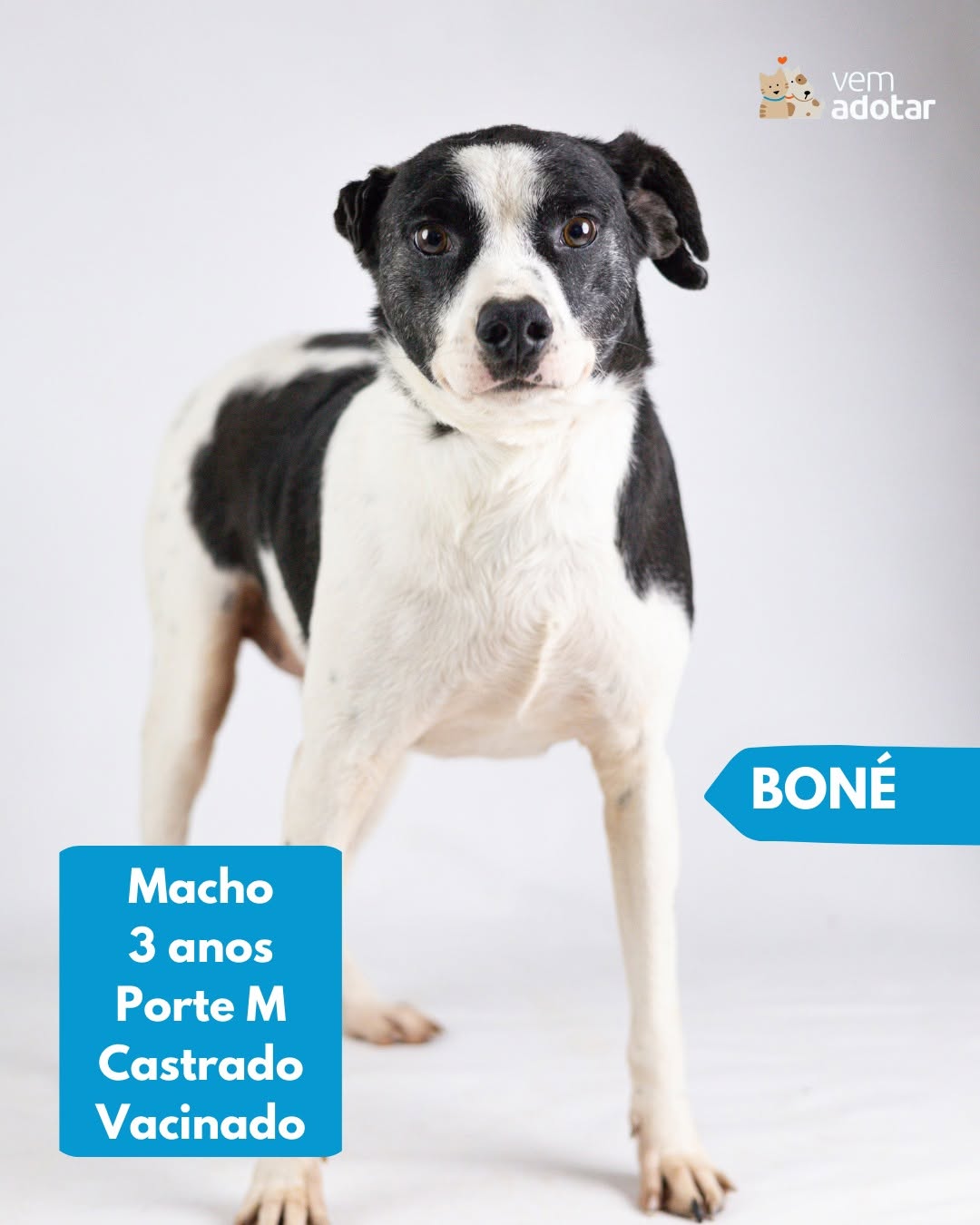 Bone