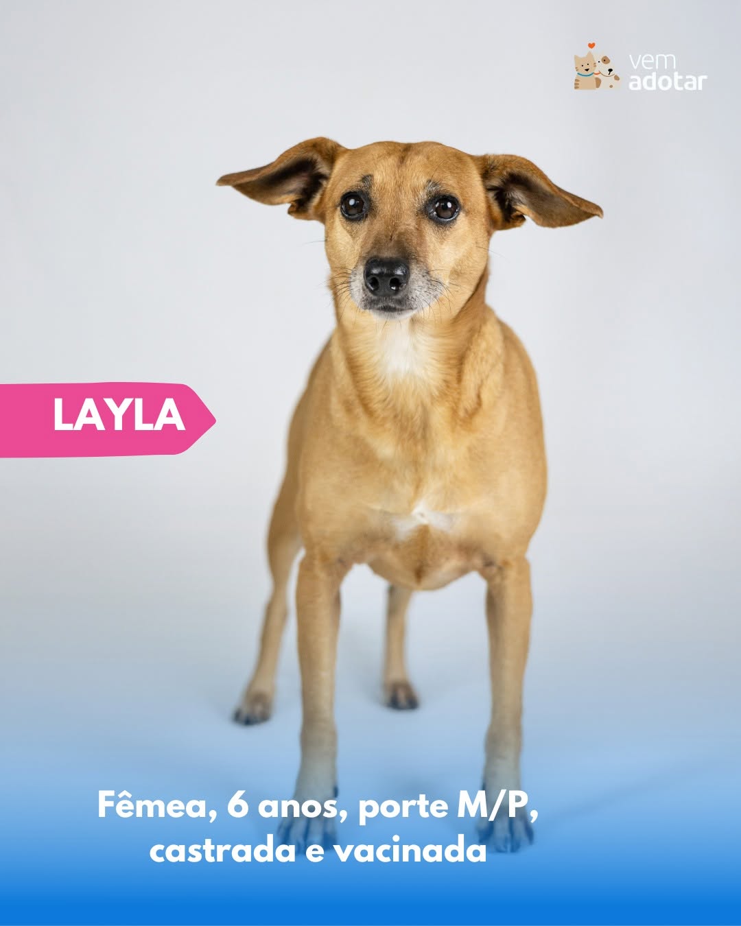 Layla