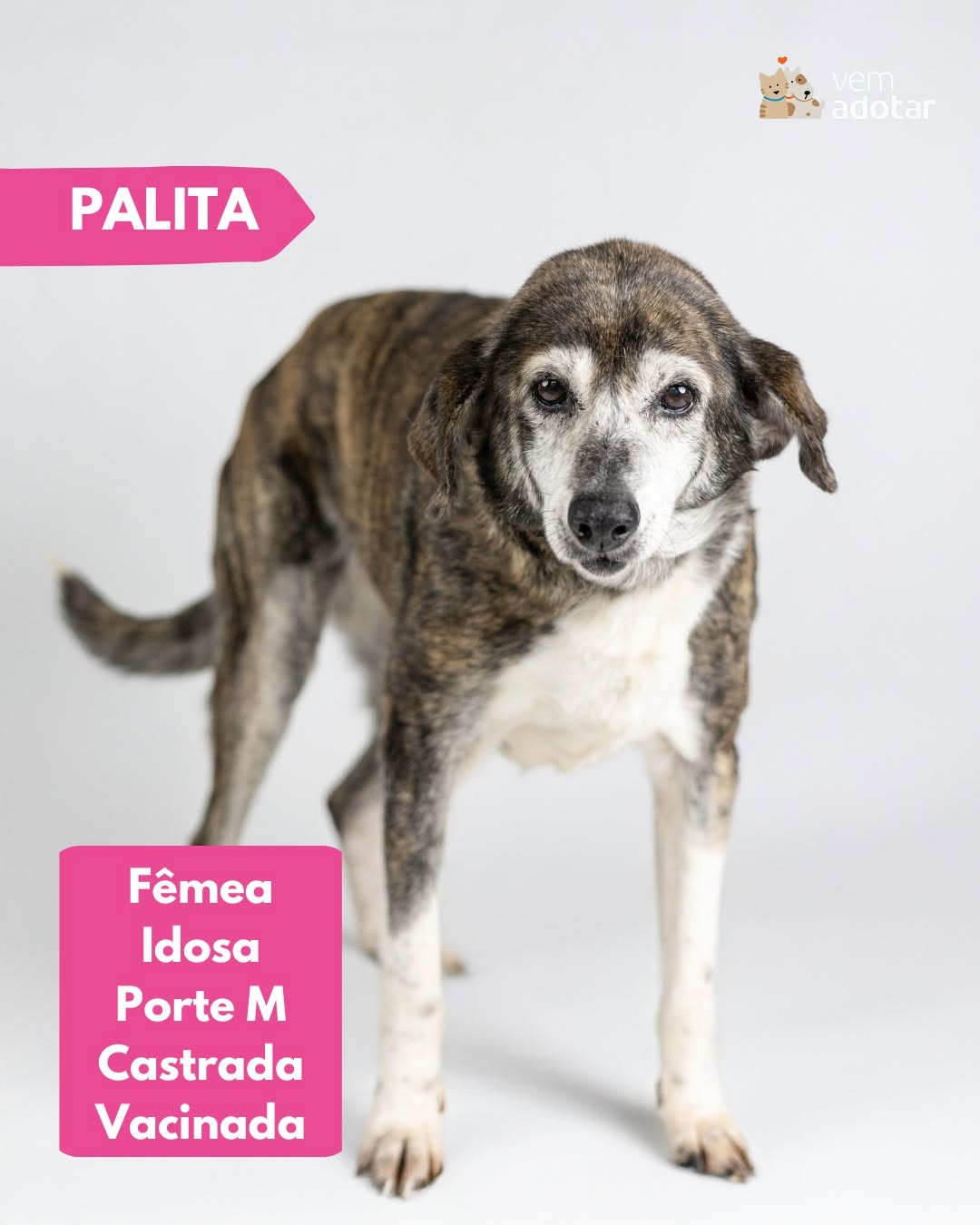 Palita