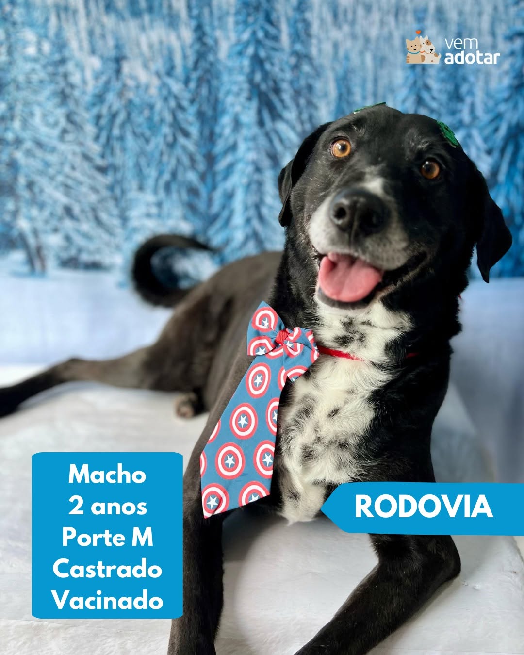 Rodovia