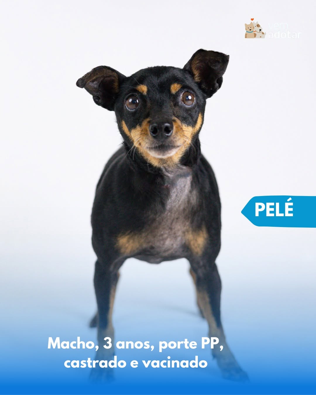 Pele