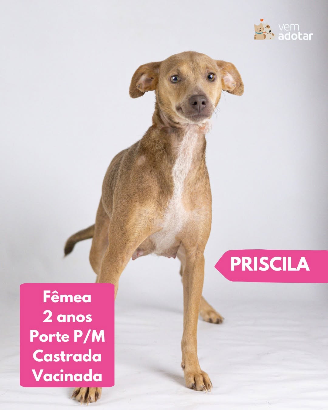 Priscila