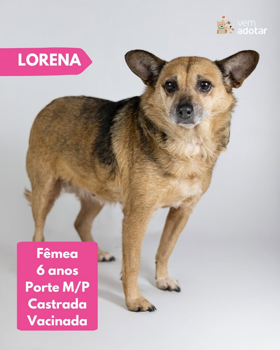 Lorena