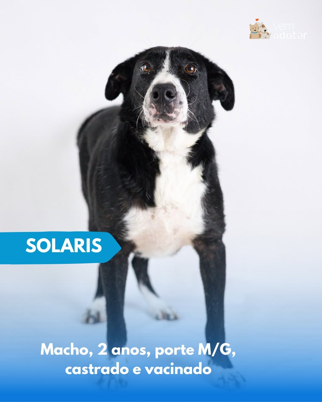Solaris