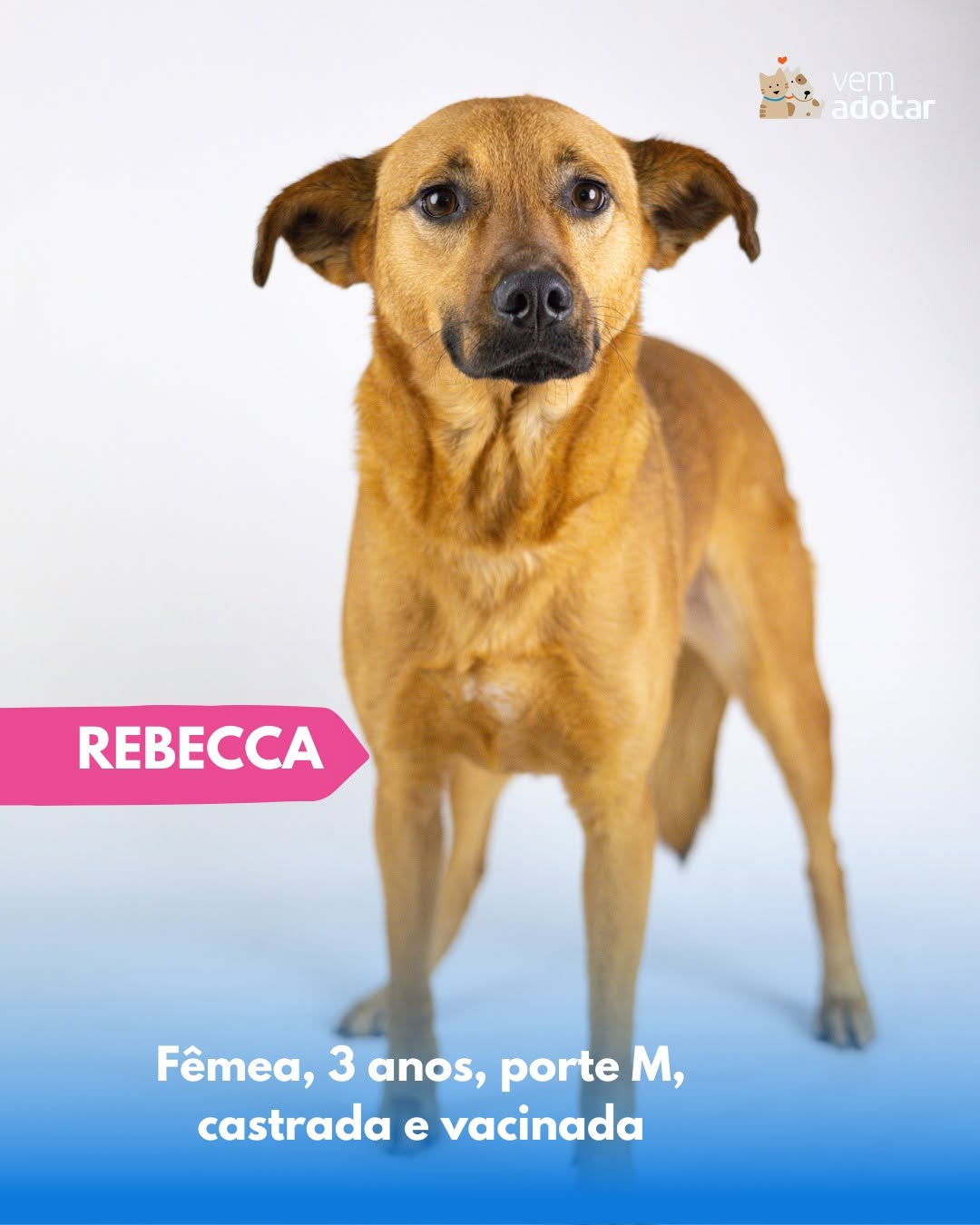 Rebecca