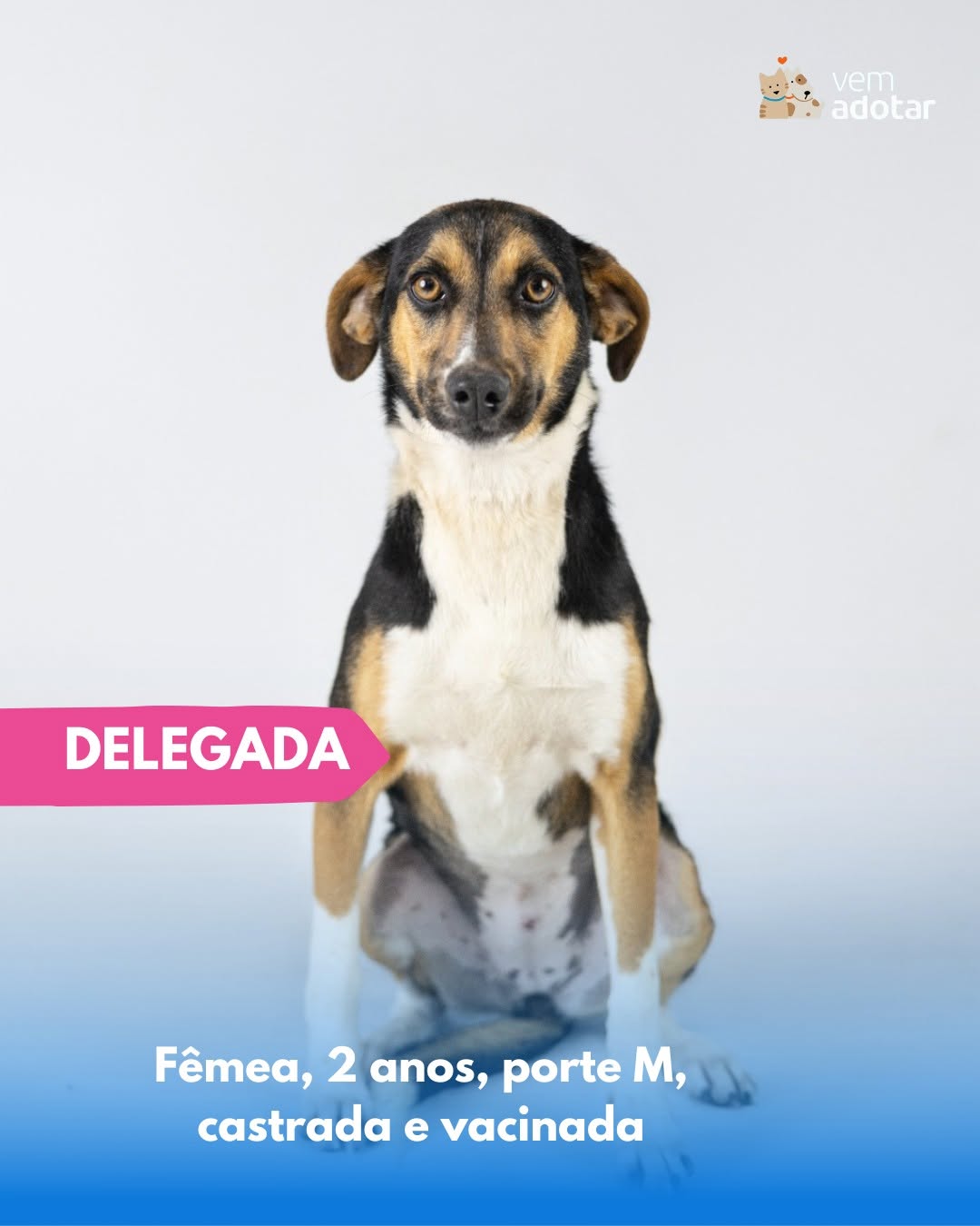 Delegada