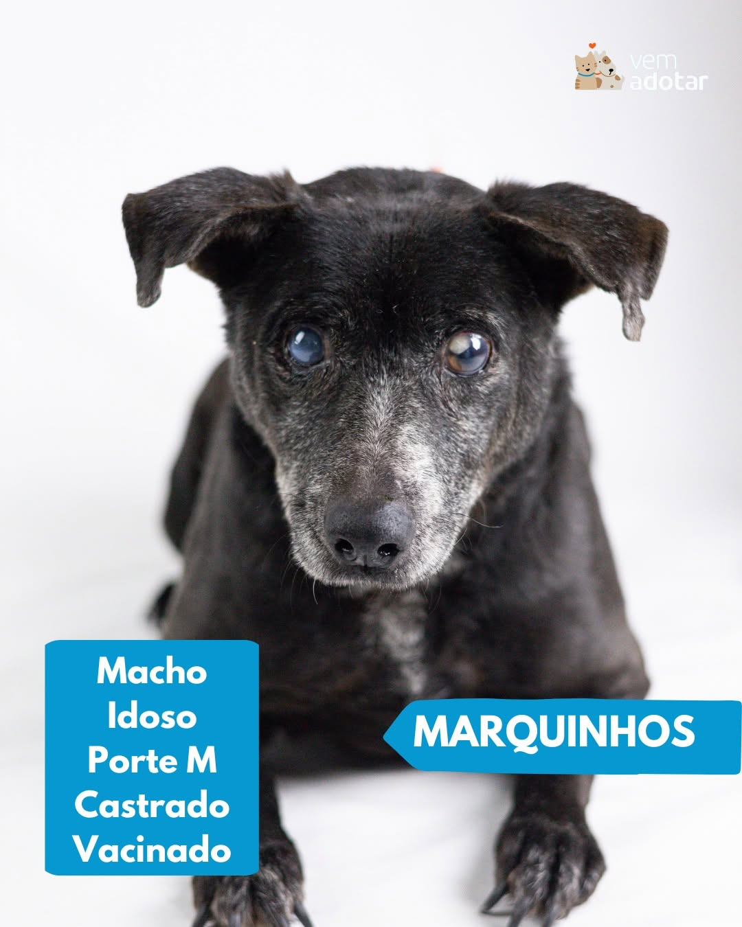 Marquinhos