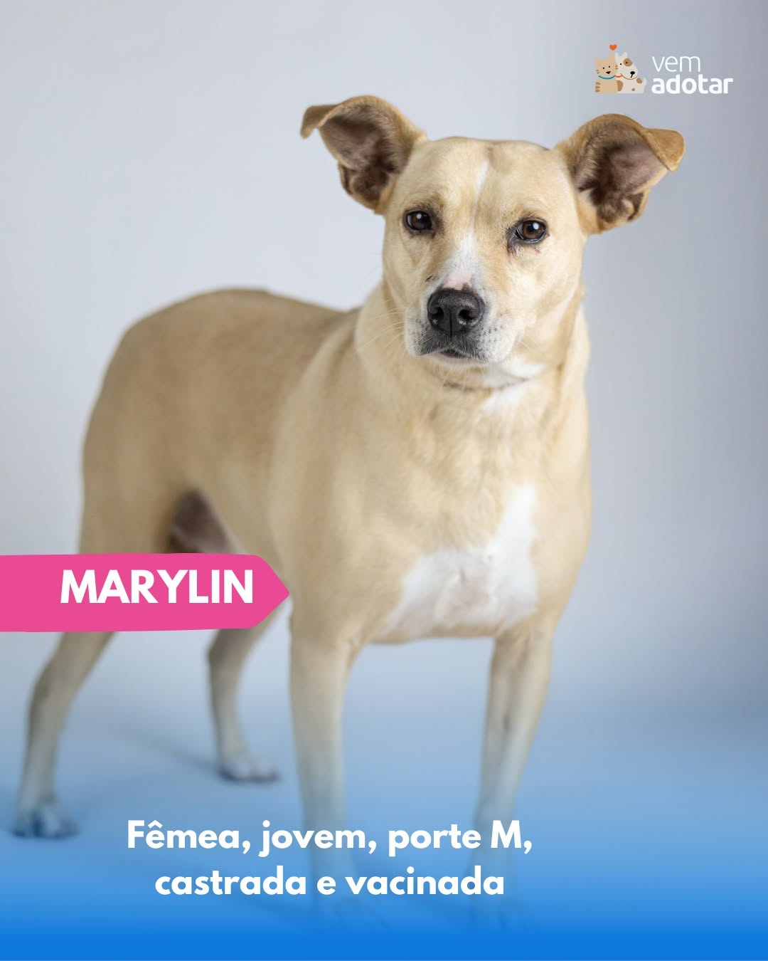 Marylin