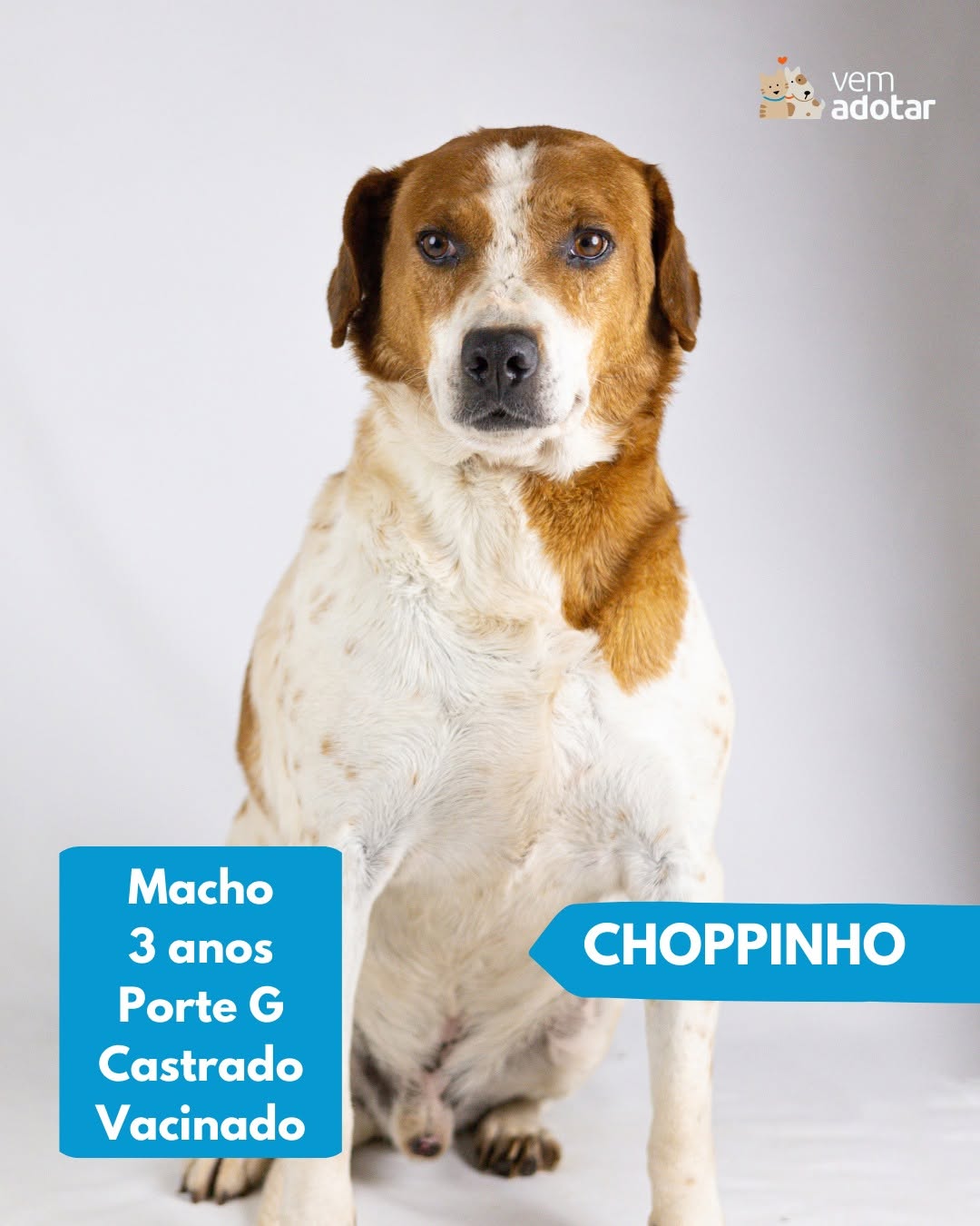Choppinho