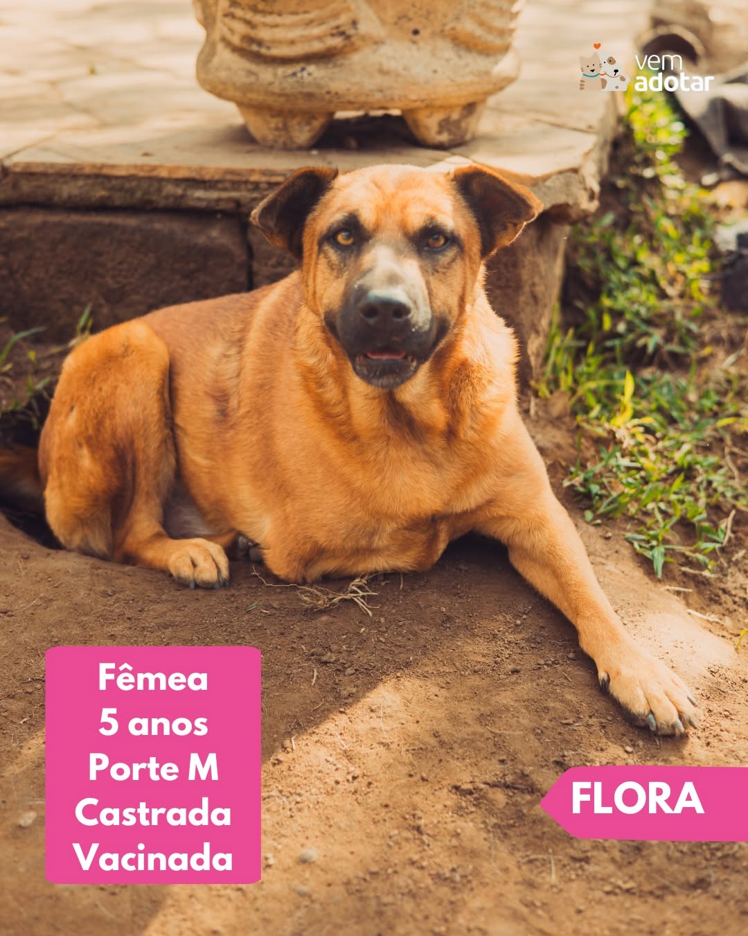 Flora