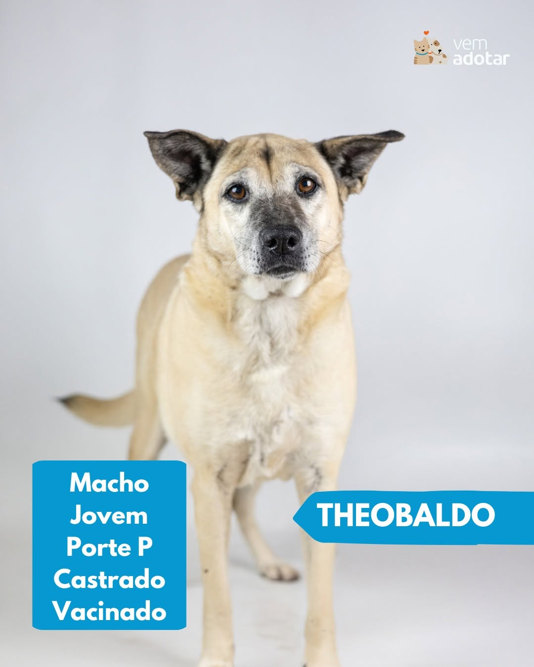 Theobaldo
