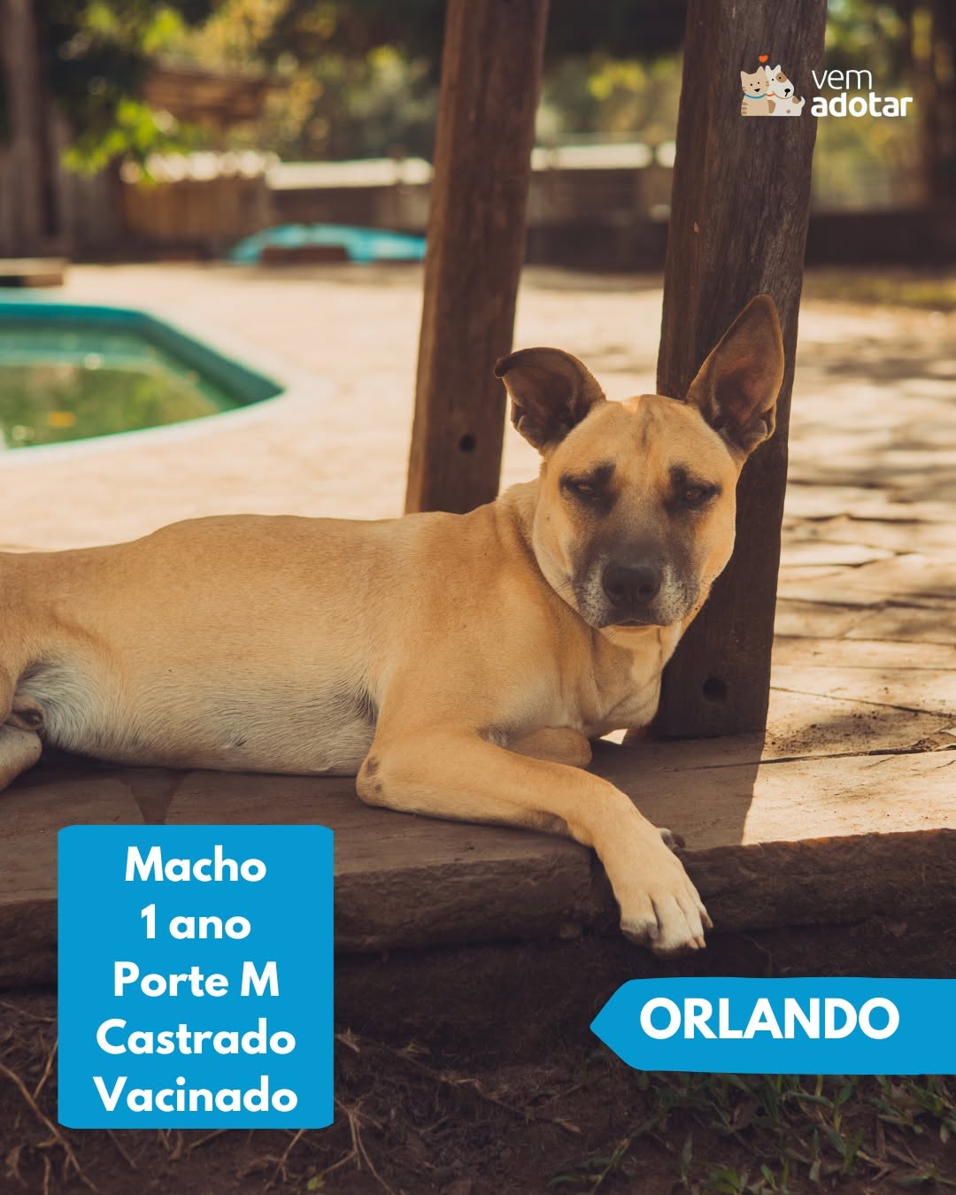 Orlando