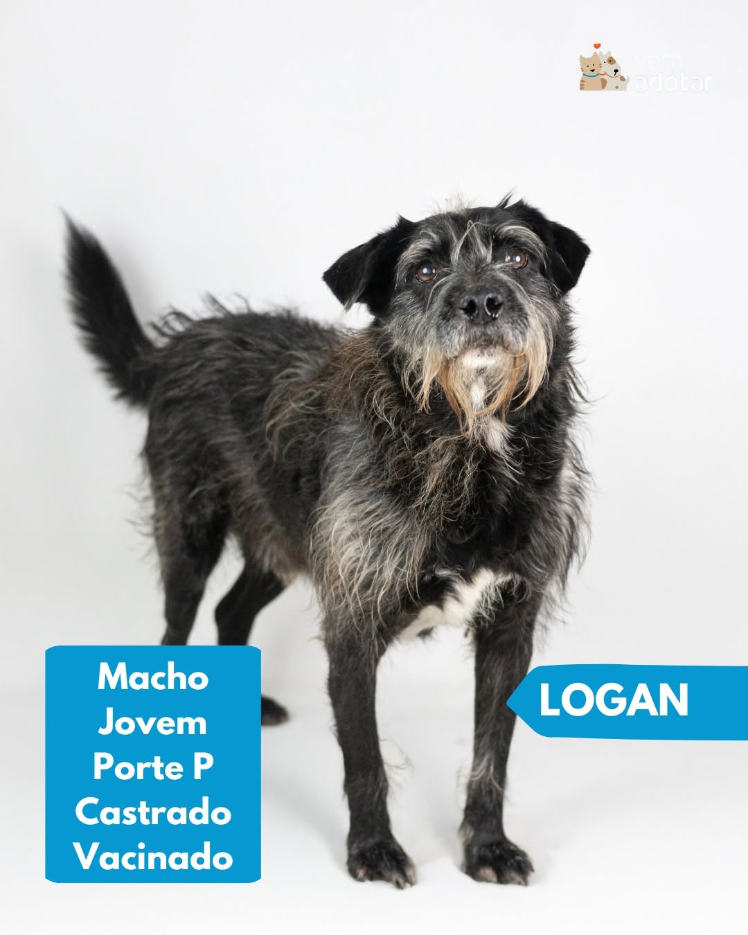 Logan