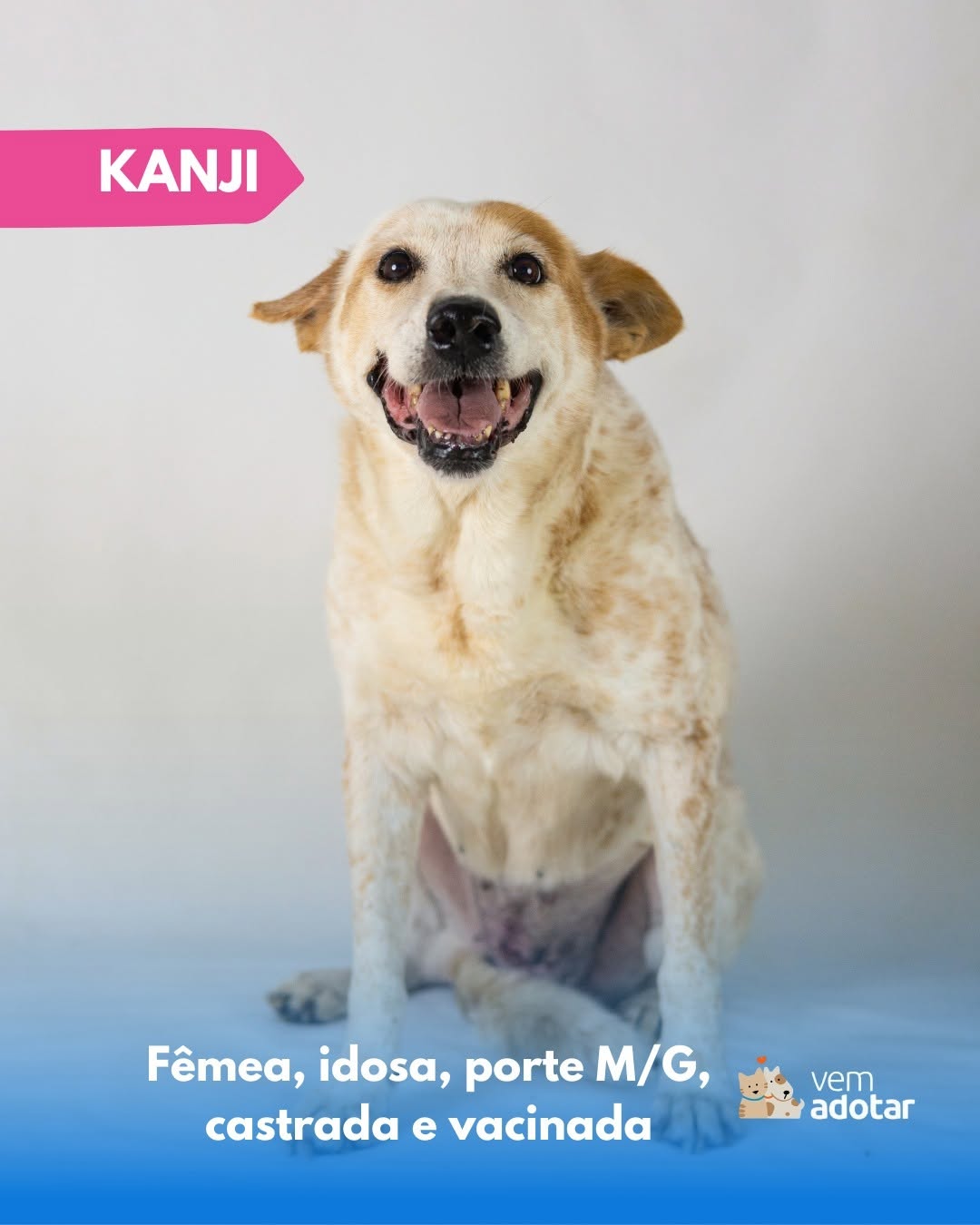 Kanji